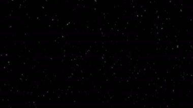 Kış Harikası Kar Taneleri Düşen 4K Canlandırması