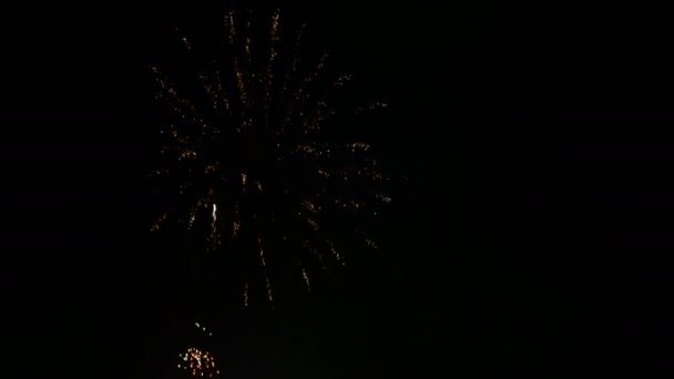 Spectacle de feux d'artifice - Sharp Vibrant Clean 4K UHD 