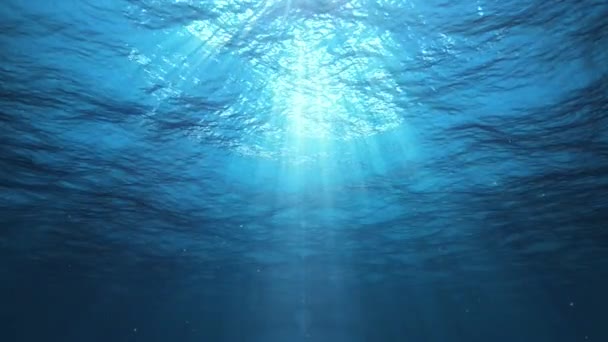 Rayons de soleil sous-marins dans l'océan (Boucle )