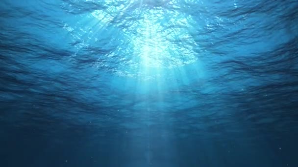 Underwater Sun Rays Ocean Loop — Stock Video