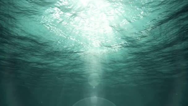 Underwater Sun Rays Ocean Loop — Stock Video