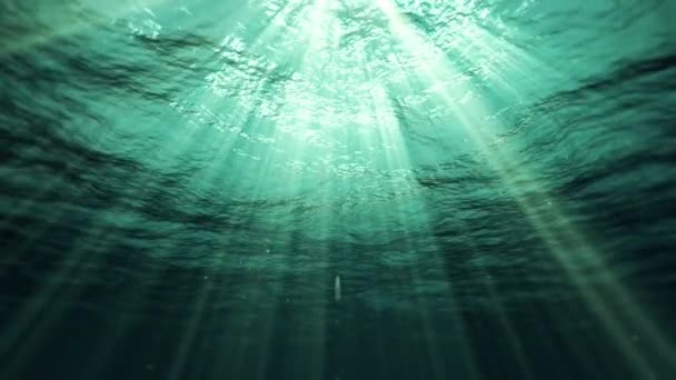 Underwater Sun Rays Ocean — стокове відео