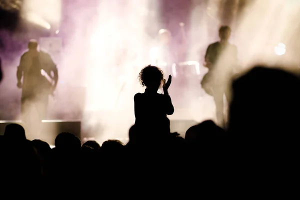 Crowd Concert Music Festival — Stock Photo, Image