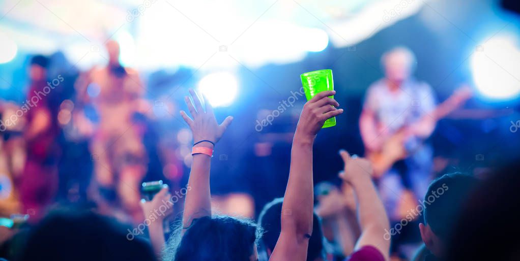 crowd at concert - music festival