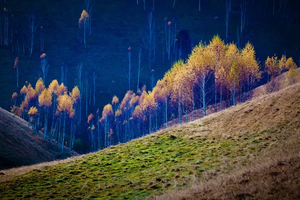 Árvores Coloridas Outono Nas Montanhas Apuseni Roménia — Fotografia de Stock