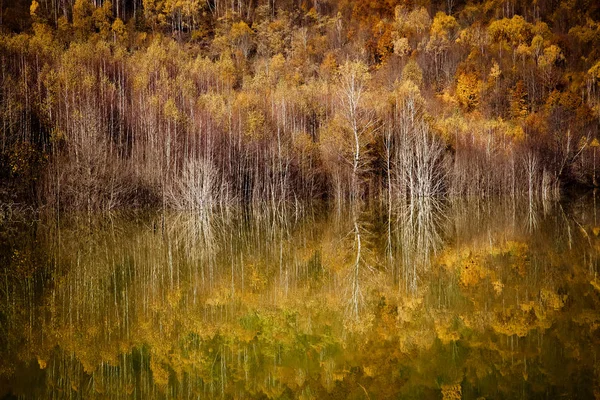 Colorful Autumn Trees Reflecting Lake — Stock Photo, Image