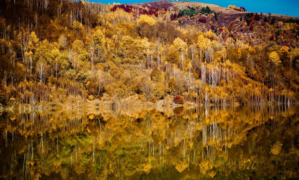 Kleurrijke Herfst Bomen Weerspiegelen Lake — Stockfoto