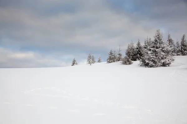 Winter Background Snow Covered Fir Trees Mountains — Stock Photo, Image