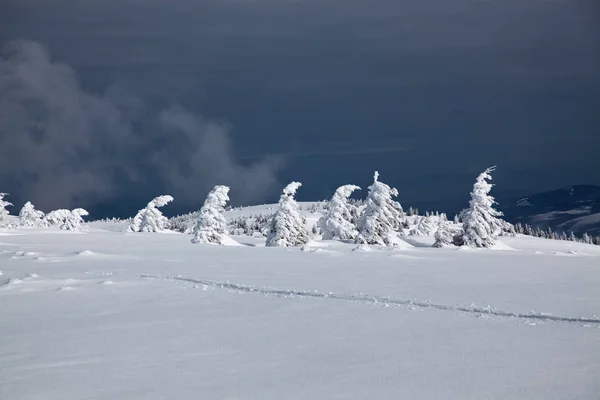 Fondo Invierno Abetos Cubiertos Nieve Las Montañas — Foto de Stock