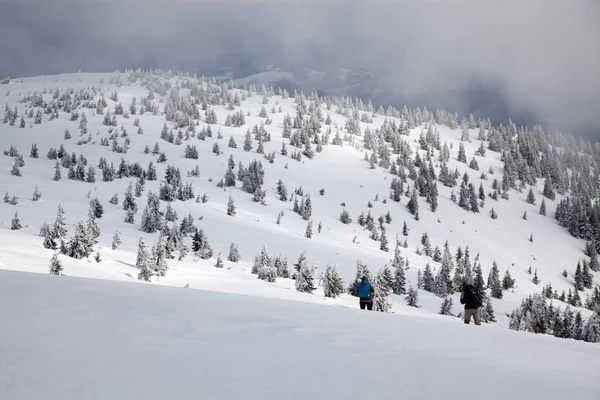 Winter Background Snow Covered Fir Trees Mountains — Stock Photo, Image