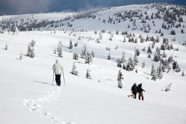 Trekking Zasněžených Zimních Horách — Stock fotografie