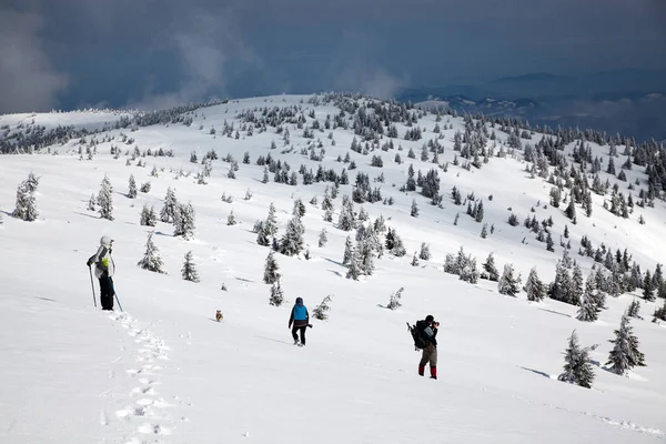 Trekking Montanhas Nevadas Inverno — Fotografia de Stock