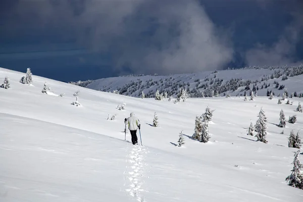 Trekking Snowy Winter Mountains — Stock Photo, Image