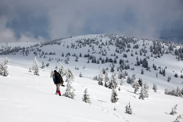 Karlı Kış Dağlarda Trekking — Stok fotoğraf