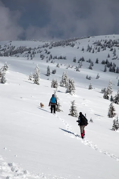 Trekking Górach Mroźną Zimę — Zdjęcie stockowe