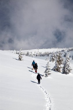 karlı kış dağlarda trekking