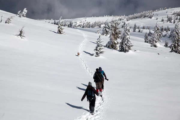 Wandelen Winter Van Besneeuwde Bergen — Stockfoto