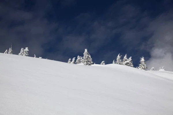 Fond Hivernal Sapins Enneigés Dans Les Montagnes — Photo