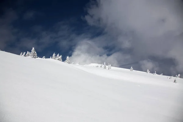 Fondo Invierno Abetos Cubiertos Nieve Las Montañas —  Fotos de Stock