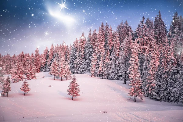 Pembe Kış Gündoğumu Karla Kaplı Köknar Güzel Dağlık Arazi Noel — Stok fotoğraf