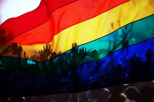 Silueta Desfile Gays Lesbianas Con Bandera Arco Iris Símbolo Amor —  Fotos de Stock