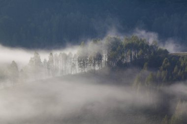 Dağlardaki sisli yaz manzarası, Salciua, Romanya