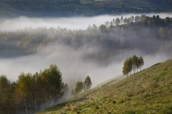 罗马尼亚Salciua山区多雾的夏季景观 — 图库照片