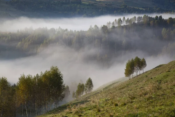 Foggy Summer Landscape Mountains Salciua Romania — Stock Photo, Image