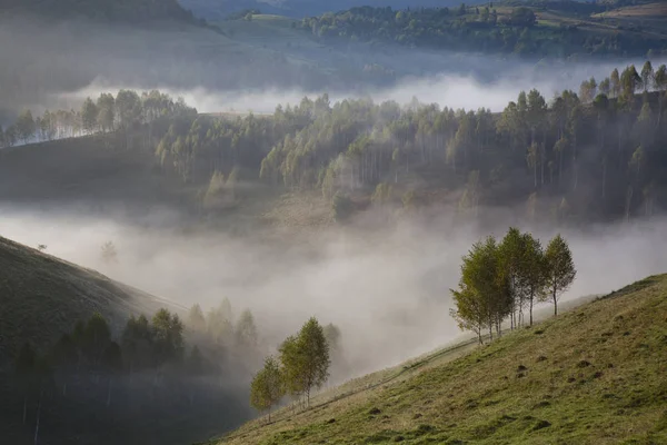 Paysage Estival Brumeux Dans Les Montagnes Salciua Roumanie — Photo