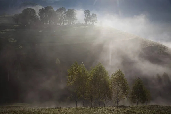 Niebla Paisaje Verano Las Montañas Salciua Rumania — Foto de Stock