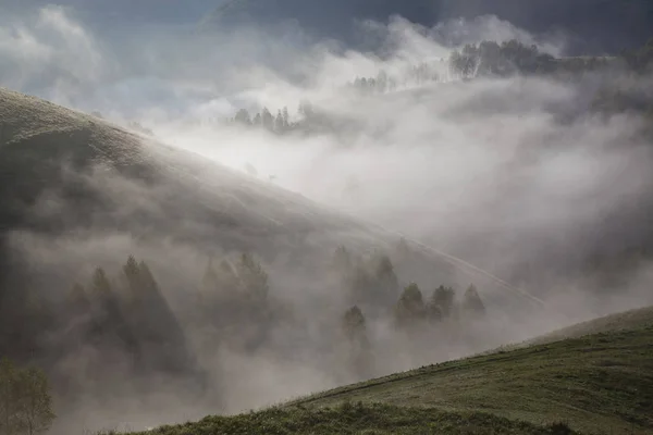 Nebbioso Paesaggio Estivo Montagna Salciua Romania — Foto Stock