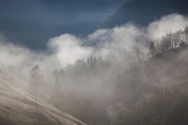 Foggy Summer Landscape Mountains Salciua Romania — Stock Photo, Image