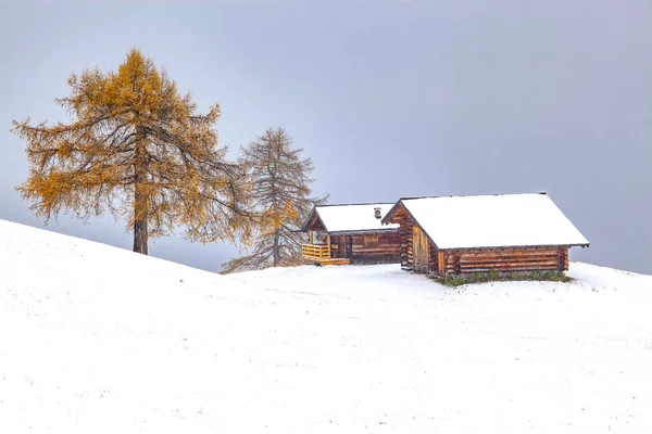 Śnieżny Wczesnozimowy Krajobraz Alpe Siusi Dolomity Włochy Zimowy Wypoczynek — Zdjęcie stockowe