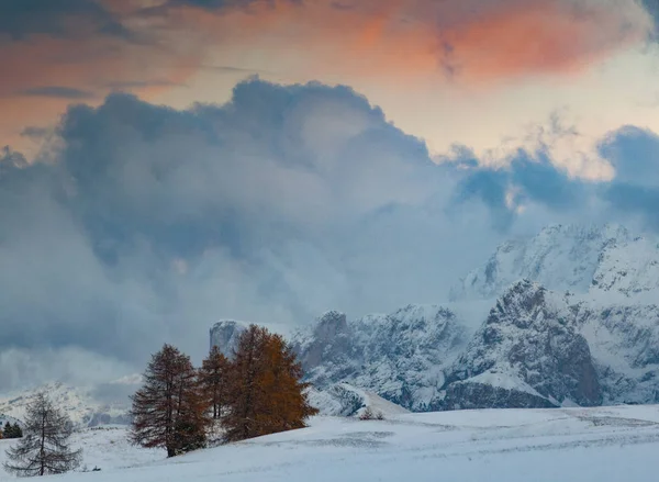 Besneeuwd Vroeg Winterlandschap Alpe Siusi Dolomieten Italië Wintervakantie Bestemming — Stockfoto