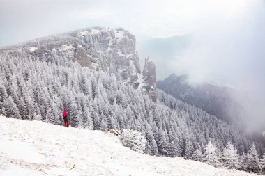 Dağlarda karlı köknar ağaçları olan kış manzarası