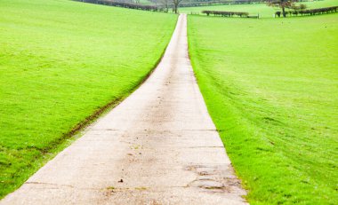 ülkede yol yeşil çayır 