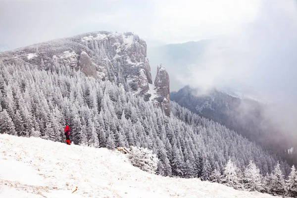 Winter Landscape Snowy Fir Trees Mountains — Stock Photo, Image