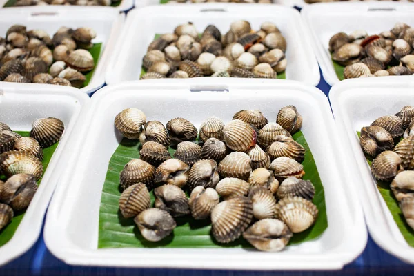 Fresh cockles on the market — Stock Photo, Image