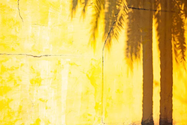 Sombra de palmeira em uma parede amarela - fundo de verão — Fotografia de Stock