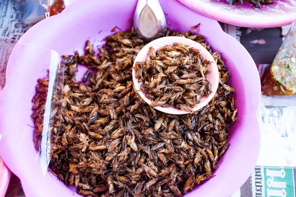 Gebratene Insekten und Grillen als Delikatesse auf einem Markt in Nordhessen — Stockfoto