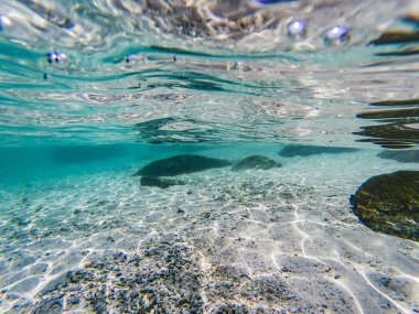 arka plan tropikal mavi okyanus sualtı-lüks