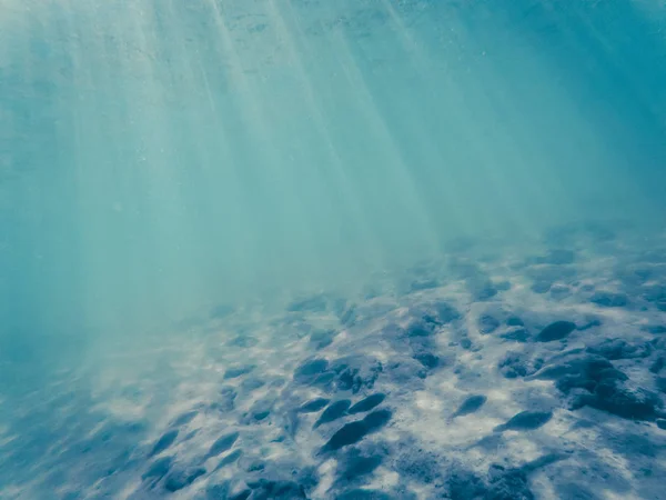 トロピカルブルーオーシャン水中背景-豪華な自然のパター — ストック写真
