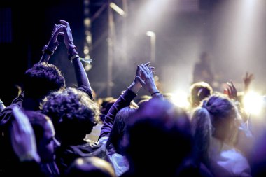 Konserde tezahürat yapan kalabalık - müzik festivali