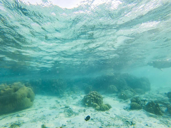 Tropisch blauer Ozean unter Wasser Hintergrund - Luxus Natur pattern — Stockfoto