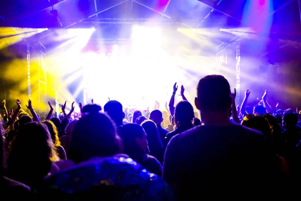 Animando a la multitud con las manos levantadas en concierto - festival de música — Foto de Stock