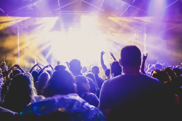 cheering crowd with raised hands at concert - music festival