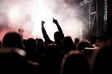 Konserde tezahürat yapan kalabalık - müzik festivali