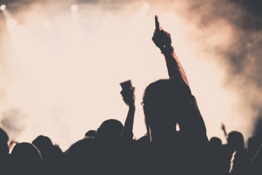 Konserde tezahürat yapan kalabalık - müzik festivali