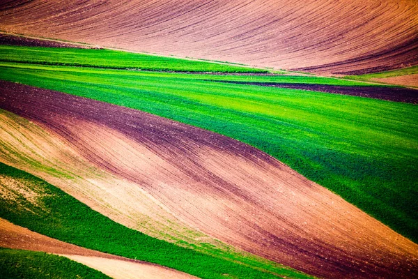 Vista aérea abstrata do campo agrícola na primavera — Fotografia de Stock