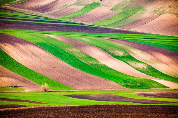 Vista aérea abstrata do campo agrícola na primavera — Fotografia de Stock